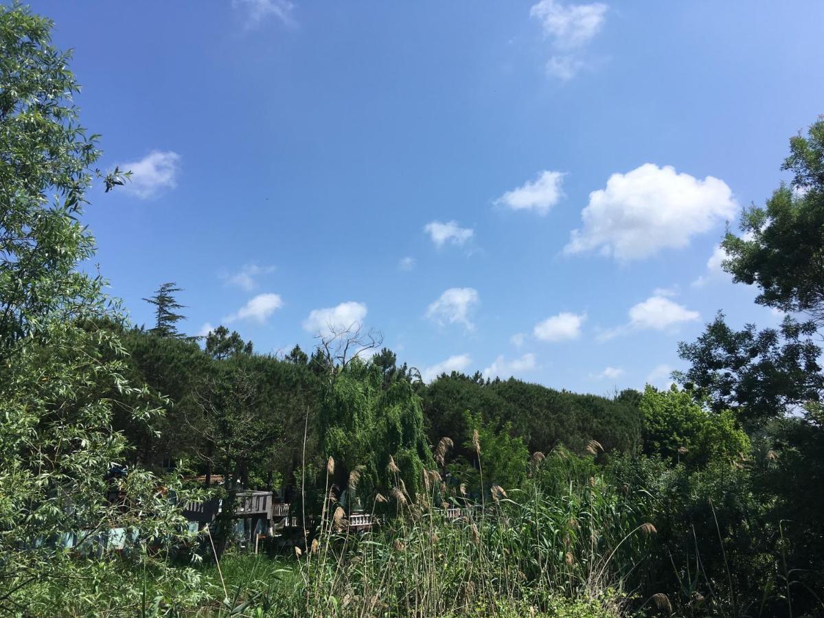Hotel Shila Doert Mevsim Tatil Koyu Ağva Zewnętrze zdjęcie