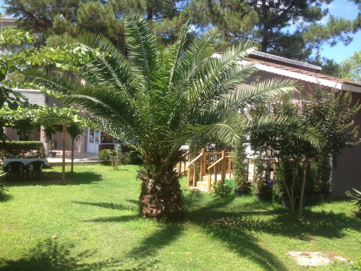 Hotel Shila Doert Mevsim Tatil Koyu Ağva Zewnętrze zdjęcie